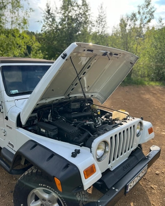 Jeep Wrangler cena 58900 przebieg: 74700, rok produkcji 2005 z Dąbrowa Tarnowska małe 352